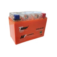 Baterie scuter, ATV cu gel 12V, 6.5 Ah (137x65x102mm)