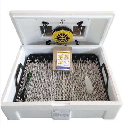 Incubator de uz casnic teplusha 72 220/50 tab