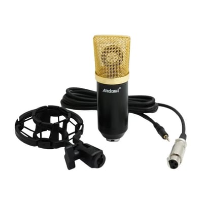 Microfon condensator pentru studio, cu cablu, negru / auriu