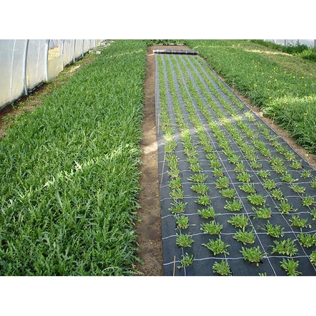 Folie Agrotextil AGV Super Strong, Antiburuieni, Mulcire, Filtru UV, 100gr/mp, Latime 1.5m, Lungime 100 Metri, Patratele 25x25cm