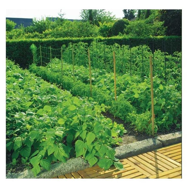 Plasa pentru Sustinere Plante Cataratoare 1.7x5 Metri, Rezistenta UV, Verde