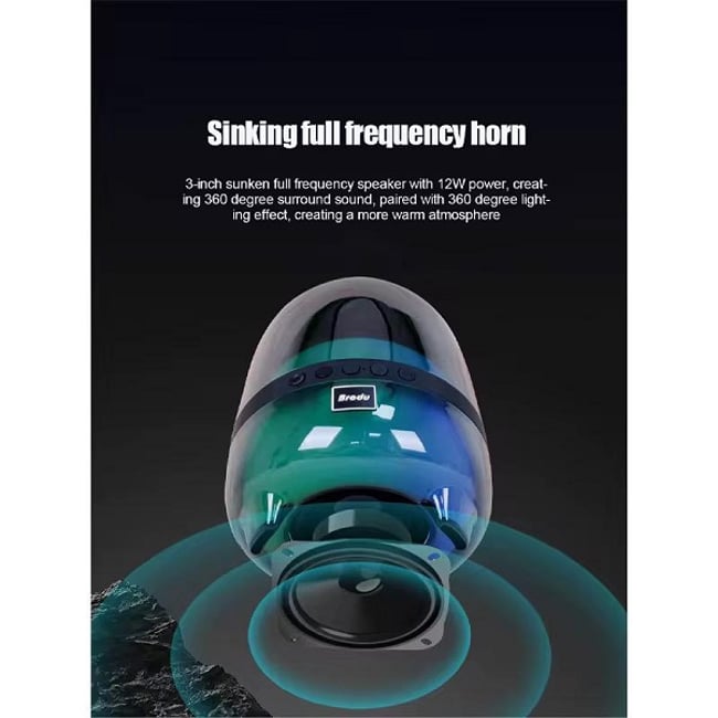 Boxa portabila, 10W, Bluetooth V5.3+EDR, Usb, TF Card, 1500mAh, transparent, RGB Color, incarcare type-c, transparent-alb