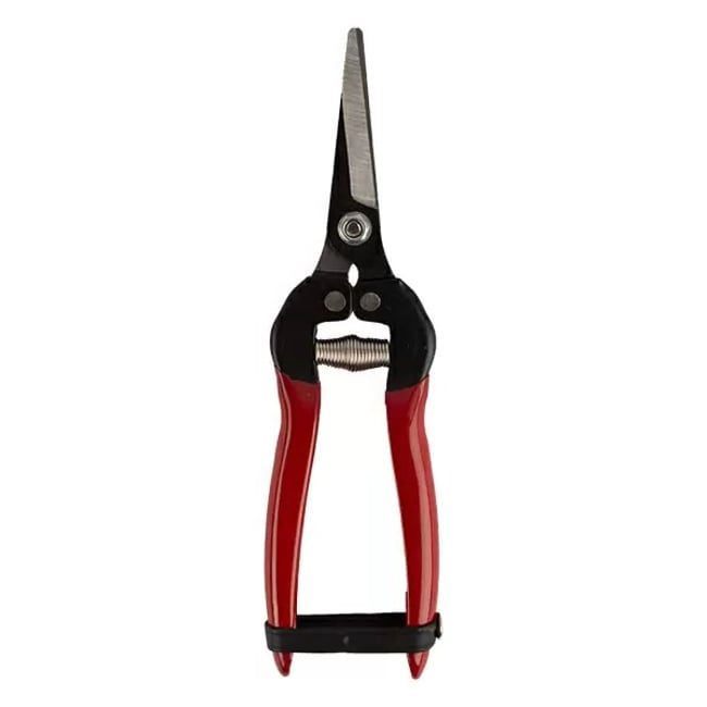 Foarfeca recoltare vita de vie pentru cules struguri cu lama ascutita