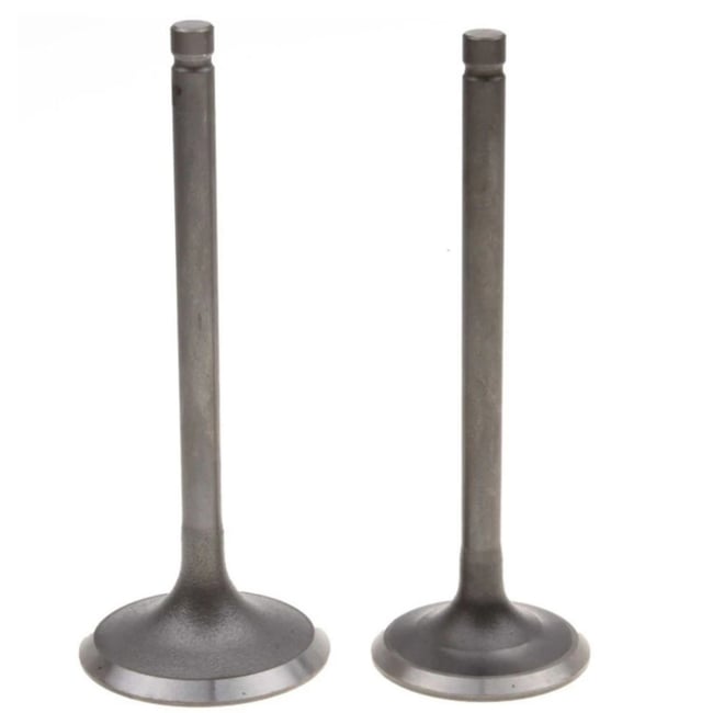 Set supape ATV Linhai 260cc, 300cc, Yamaha Majesty 250cc