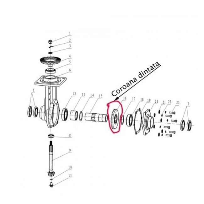 Coroana dintata transmisie motocultor Ruris 815, 913, 915, 1150ks