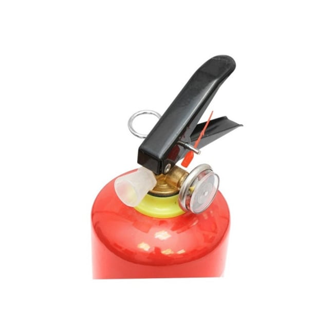 Stingator auto reincarcabil 1kg P1 cu manometru