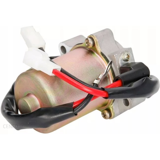 Electromotor scuter Tgb 50 2T 101/202T/203/303/309/Acros/Laser 50