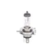 Bec bosch h4 p43t 12v 60/55w pure light 1 987 302 041