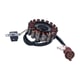 Magnetou / stator aprindere Atv Linhai Demon Muddy Goon 260cc - 300cc, Dragonfly 400, CUV Carry 300cc - 400cc (93 MM)