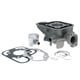 Set motor / kit cilindru scuter Peugeot Ludix, Jet Force 50cc 2T, 40 mm, racire apa