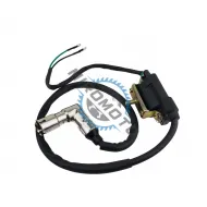 Bobina inductie / aprindere Atv 50cc, 110cc, 125cc 4T