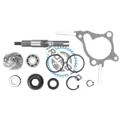 Kit reparatie pompa apa Honda FES Pantheon 250cc, FES Foresight 250cc RMS Kit reparatie pompa apa Honda FES Pantheon 250cc, FES Foresight 250cc RMS