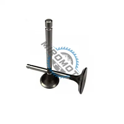 Set 2 supape motosapa / motocultor diesel (motorina) 186 F Set 2 supape motosapa / motocultor diesel (motorina) 186 F