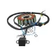 Magnetou / stator aprindere Atv CG125 CG150 CG200 , 18 bobine, 5 fire Magnetou / stator aprindere Atv CG125 CG150 CG200 , 18 bobine, 5 fire