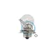 Bec cu flansa 12V 20W Halogen/RMS 0432