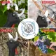 Lama de schimb pentru foarfeca electrica, SK5, lungime 70mm, diametru 25mm Lama de schimb pentru foarfeca electrica, SK5, lungime 70mm, diametru 25mm