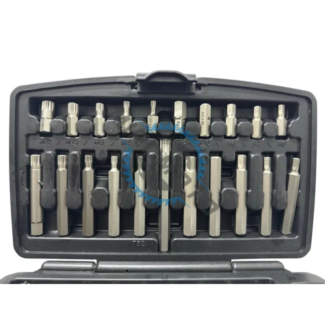 Trusa biti torx, hex si spline, 41piese