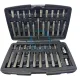 Trusa biti torx, hex si spline, 41piese