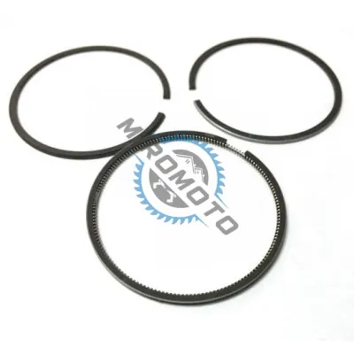 Segmenti generator Robin EH12 (60mm)