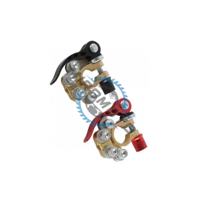 Set 2 borne profesionale cu 4 terminale si clema cuplare rapida