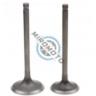 Set supape ATV Linhai 260cc, 300cc, Yamaha Majesty 250cc