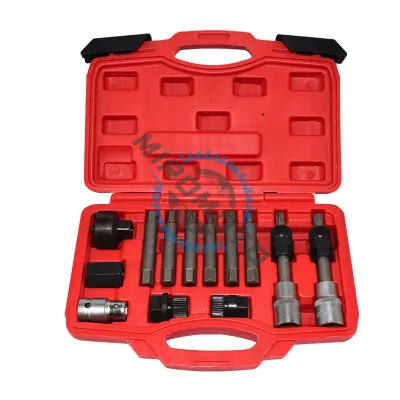 Set chei demontare si montare fulii de alternator, 13 piese Set chei demontare si montare fulii de alternator, 13 piese