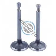 Set 2 supape Honda GX 160, GX 200 (5.5hp, 6.5hp, 168F)