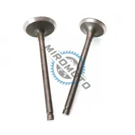 Supape Yamaha Majesty 125cc 4T