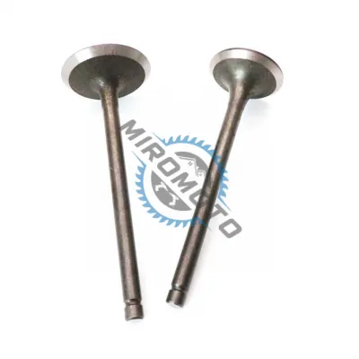 Supape Yamaha Majesty 125cc 4T