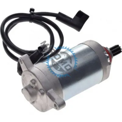 Electromotor Yamaha YBR 125cc, YP 125, XTZ 125 Electromotor Yamaha YBR 125cc, YP 125, XTZ 125