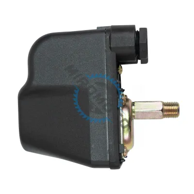 Presostat hidrofor, cu tija filetata, plastic, filet exterior, Ø 1/4', 1.4 - 2.8 bar Presostat hidrofor, cu tija filetata, plastic, filet exterior, Ø 1/4', 1.4 - 2.8 bar