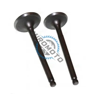 Set 2 supape Atv 107cc-110cc Set 2 supape Atv 107cc-110cc