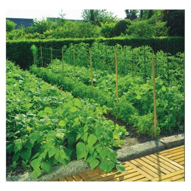 Plasa pentru Sustinere Plante Cataratoare 1.7x10 Metri, Rezistenta UV, Verde