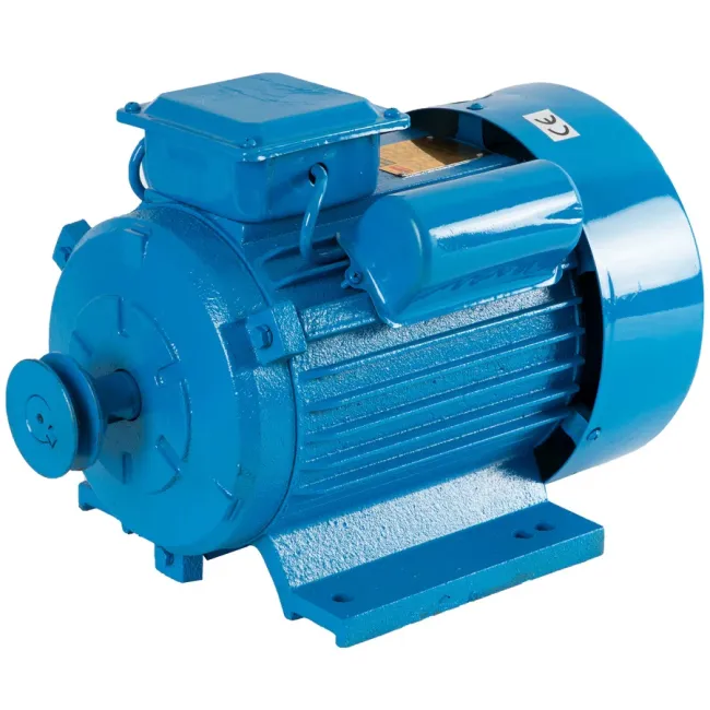 Motor electric monofazat, DRK YL90L-2, 2.2 kW, 3000 RPM, carcasa fonta