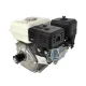 Motor pe benzina de uz general Campion CMP1483, 7.5 CP, ax cilindric cu pana 20mm, 4 timpi, filtru de aer umed, fulie cu 2 canale inclusa