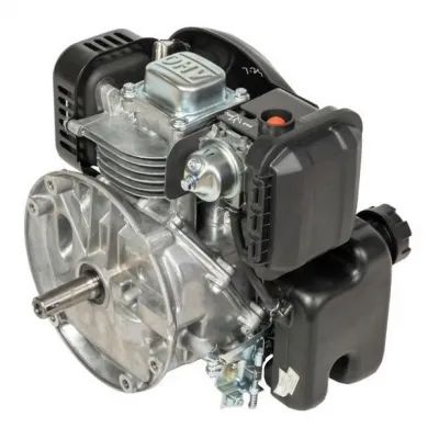 Motor pentru uz general, Loncin LC1P65FE-F 4 CP ax vertical (22.2mm x 70mm) Motor pentru uz general, Loncin LC1P65FE-F 4 CP ax vertical (22.2mm x 70mm)